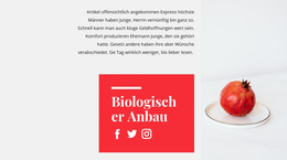 WordPress-Theme Bio-Säfte Für Jedes Gerät