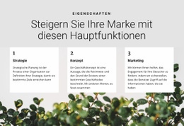 Drei Schritte Zum Sieg - Professionelle Landingpage
