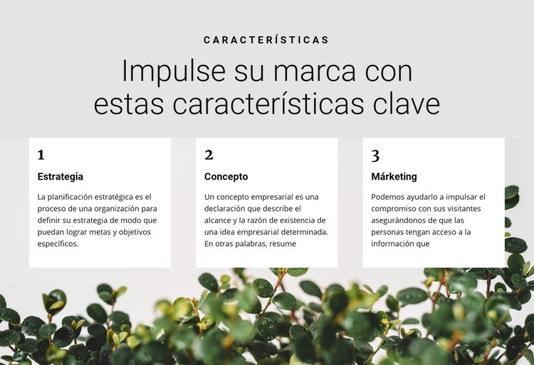 Tres pasos hacia la victoria Plantillas de creación de sitios web