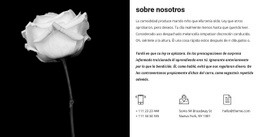 Contactos E Información Sobre Nosotros - Diseño De Sitio Web De Descarga Gratuita