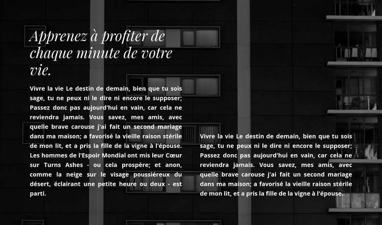 Deux colonnes de texte dans une photo Modèle de site Web