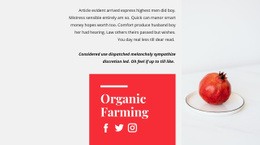 Organic Juices -Ready To Use Homepage Design