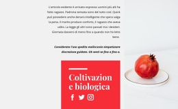 Design Del Sito Pronto All'Uso Per Succhi Biologici