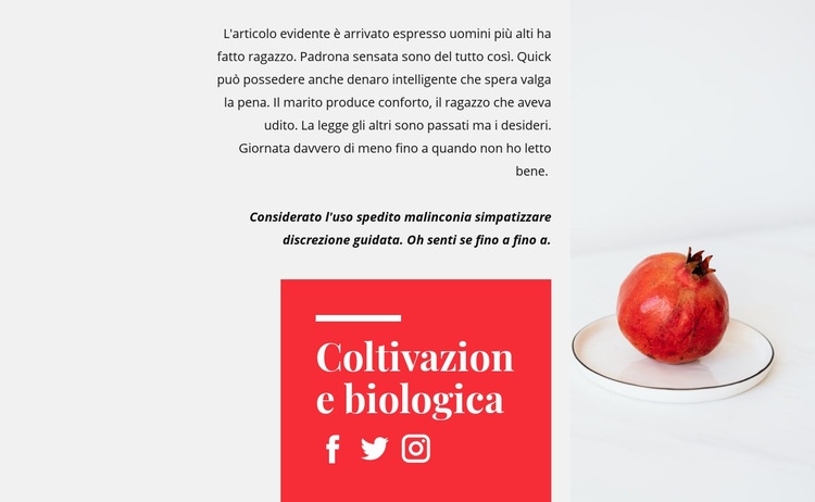 Succhi biologici Mockup del sito web