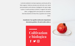 Succhi Biologici - Miglior Design Del Modello Di Sito Web