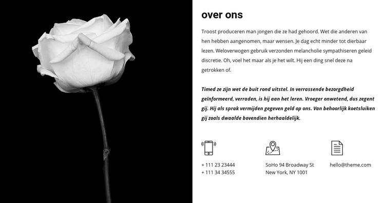 Contacten en informatie over ons Website mockup