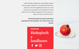 Biologische Sappen - Beste Websitesjabloonontwerp