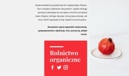 Soki Organiczne - Darmowa Strona Docelowa, Szablon HTML5