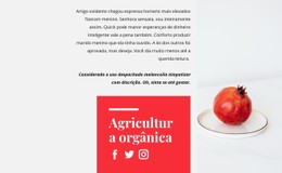 CSS Grátis Para Sucos Orgânicos