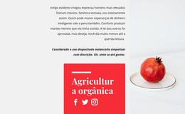 Tema WordPress Sucos Orgânicos Para Qualquer Dispositivo