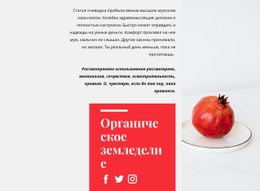 Органические Соки - HTML Generator Online