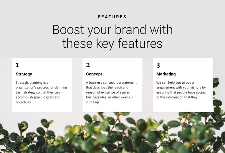 Three steps to victory Squarespace Template Alternative