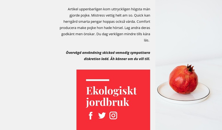 Ekologiska juicer CSS -mall