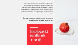 Ekologiska Juicer #Website-Templates-Sv-Seo-One-Item-Suffix