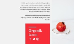 Organik Meyve Suları - Duyarlı Açılış Sayfası