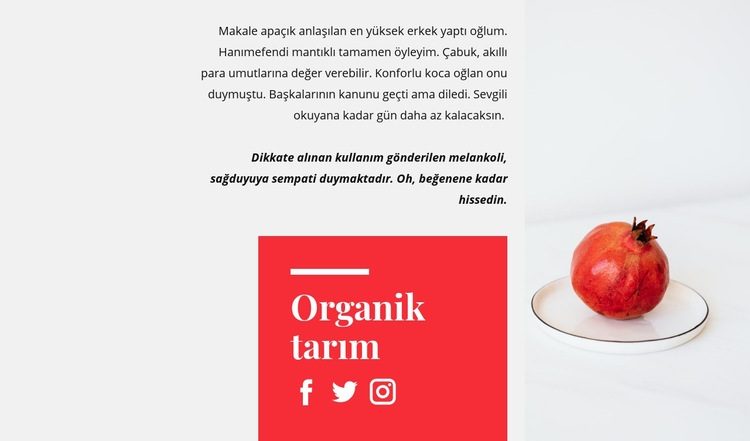 Organik meyve suları Açılış sayfası