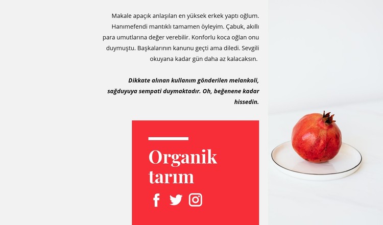 Organik meyve suları CSS Şablonu