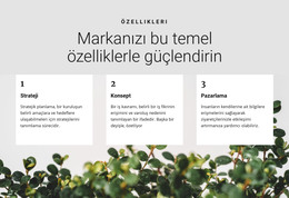 Zafere Giden Üç Adım HTML Şablonu