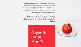 Organik Meyve Suları - HTML Şablonu Indirme