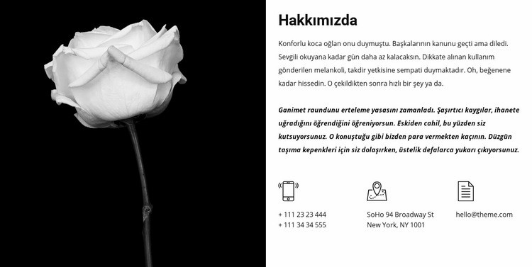 İletişim ve hakkımızda bilgiler Html Web Sitesi Oluşturucu