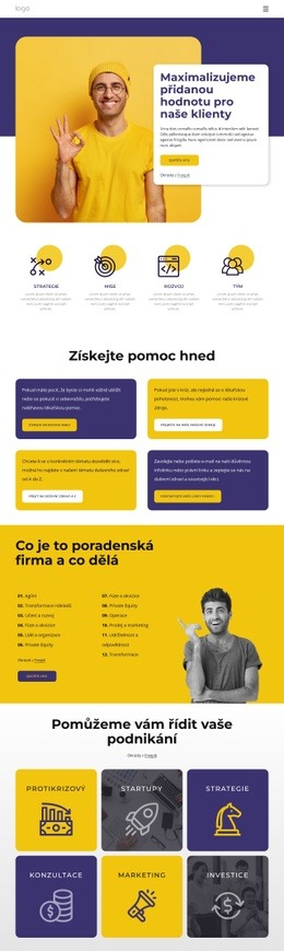 Víceúčelový Motiv WordPress Pro Motivační Programy A Obchodní Koučování