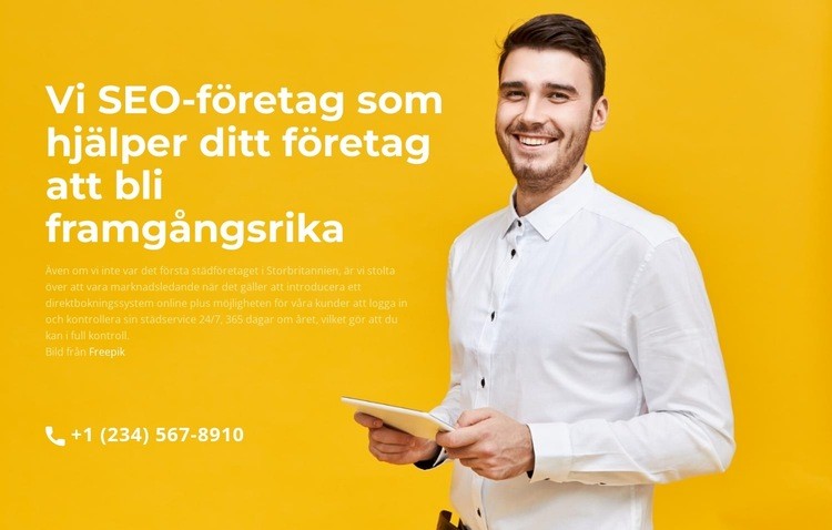 Företagsframgång CSS -mall