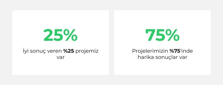 Analitik sayacı CSS Şablonu