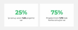 Analitik Sayacı Için Özel Bir Web Sitesi Tasarımı