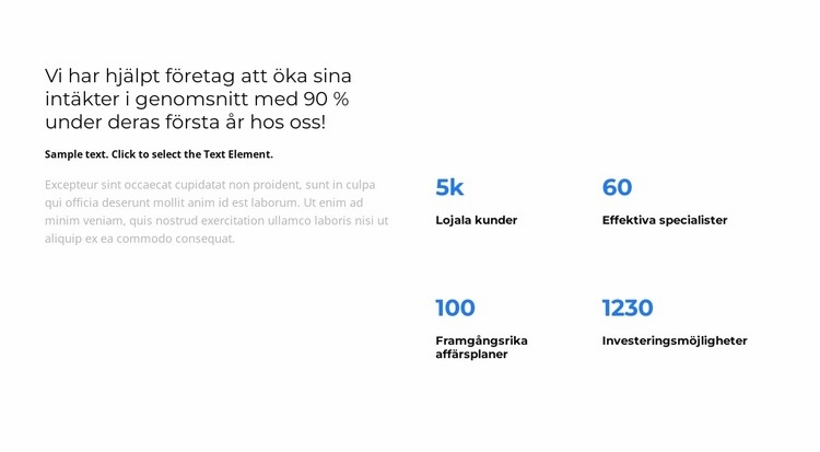 Analytics för året CSS -mall