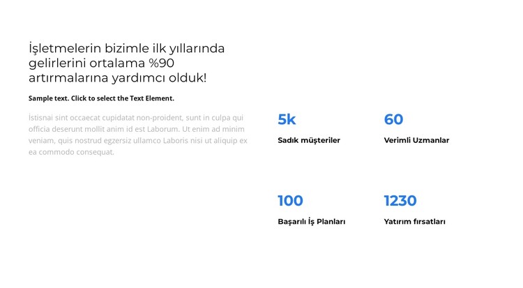 Yıl için Analitik CSS Şablonu