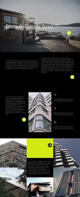 Immobilier De Luxe - Modèle De Fonctionnalité D'Une Page