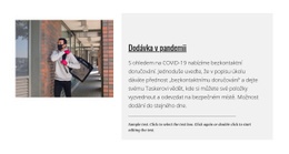 Dodávka V Pandemii – Funkční Téma WordPress