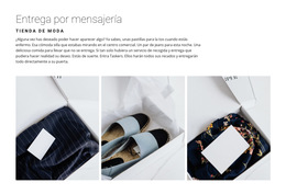 Entrega De Una Tienda De Moda - Plantilla Web