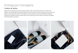 Descargar El Tema De WordPress Para Entrega De Una Tienda De Moda