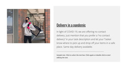 Delivery In A Pandemic - Functionality WordPress Theme