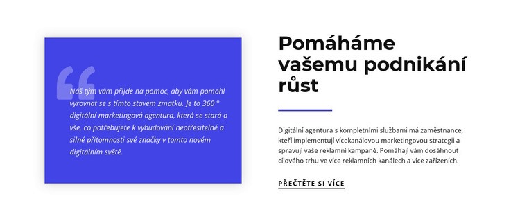 Pomáháme vašemu podnikání růst Šablona CSS