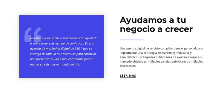 Ayudamos a tu negocio a crecer Diseño de páginas web