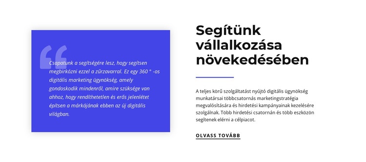 Segítünk vállalkozása növekedésében HTML Sablon