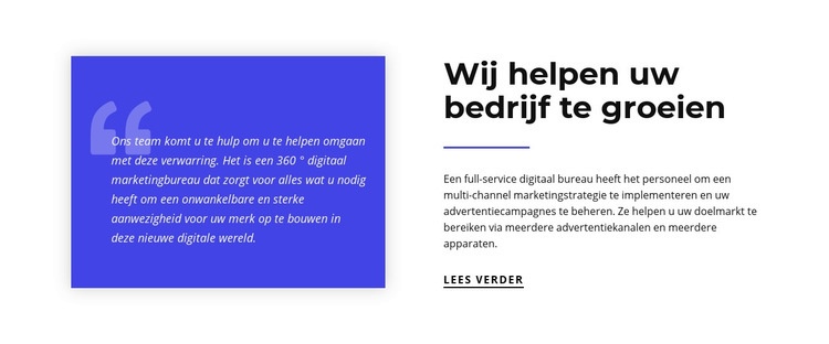 Wij helpen uw bedrijf te groeien Website mockup