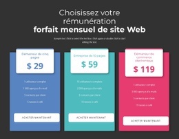 Choisissez Votre Plan De Paiement Mensuel - Belle Conception De Site Web