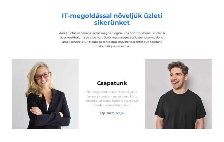 Fiatal szakemberekből álló csapat HTML Sablon