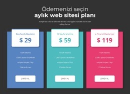 Aylık Ödeme Planınızı Seçin - Güzel Web Sitesi Tasarımı