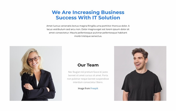 Team of young professionals Website Design