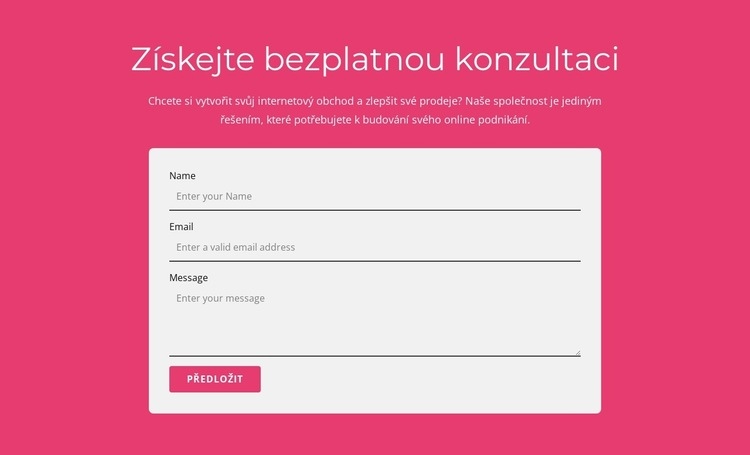 Získejte naši bezplatnou konzultaci Šablona CSS