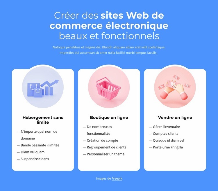 Création de sites e-commerce Conception de site Web