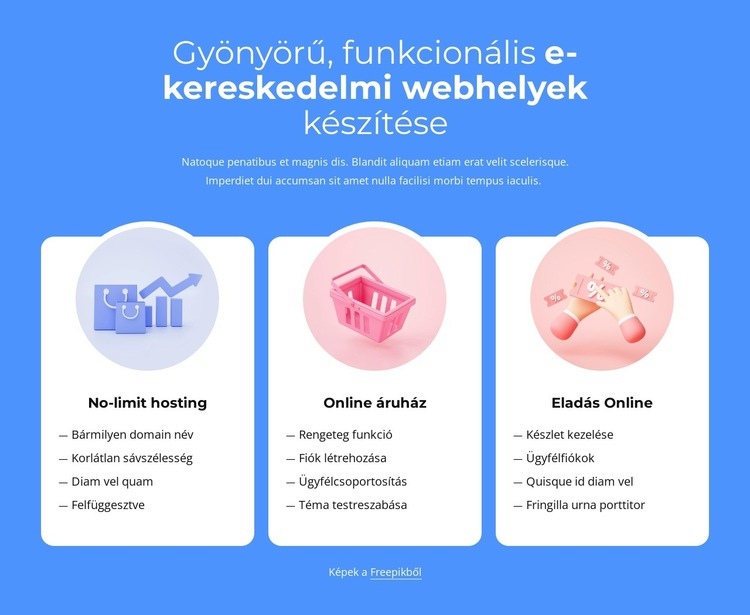 E-kereskedelmi webhelyek készítése Weboldal sablon