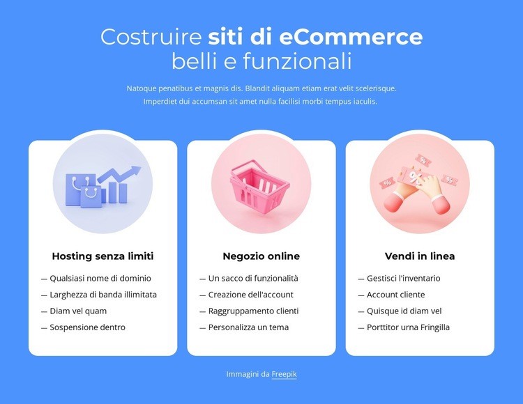 Realizzazione siti e-commerce Costruttore di siti web HTML