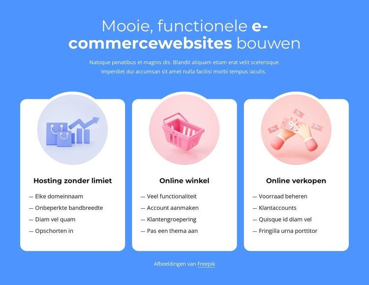 E-commerce websites bouwen Website ontwerp