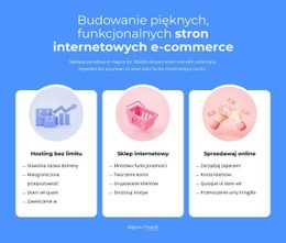 Budowanie Witryn E-Commerce - Niestandardowa Makieta Witryny