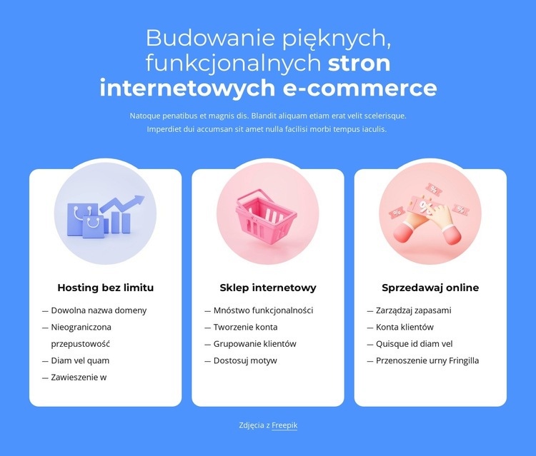 Budowanie witryn e-commerce Makieta strony internetowej